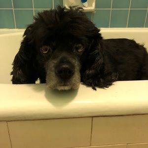 Meet your Posher, Lyndi